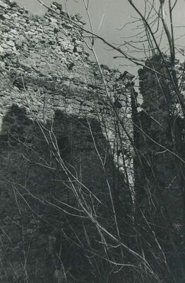 Vojnovec Loborski (Lobor) - Burg, ruševina