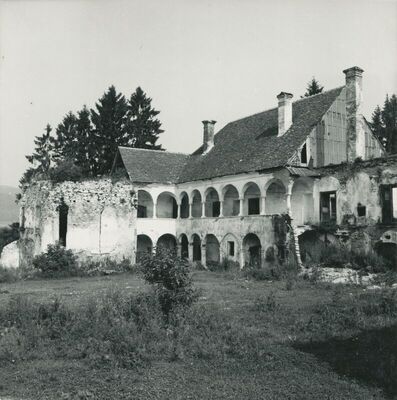 Novi Dvori Klanječki (Klanjec) - Dvor Erdödya, vanjština, ruševina