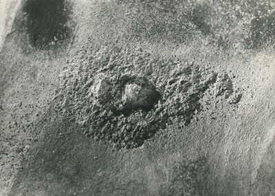 Lepoglava - Bivša pavlinska crkva sv. Marije, detalj zidne slike u svetištu