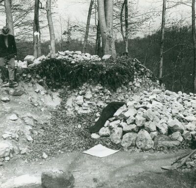 Zelingrad - Stari grad Zelingrad, jugoistočna polukula