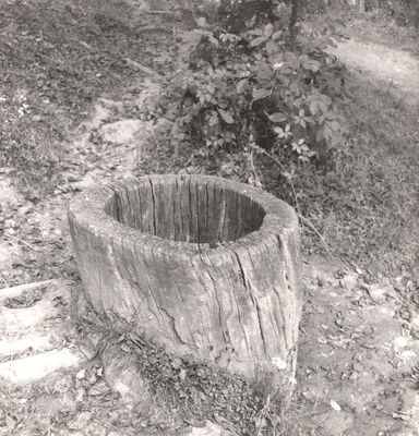 Gustelnica - Drveni zdenac