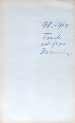 Brodski Drenovac (Pleternica) - Kapela sv. Martina, očuvanje tornja