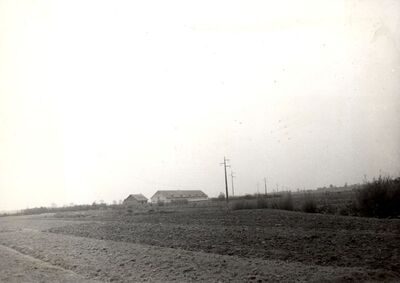 Lazina (Draganić) - Krajolik