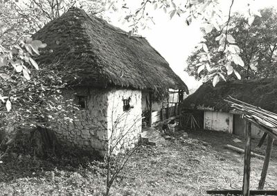 Martinski Vrh (Ribnik) - Tradicijska kuća, uže i dulje pročelje