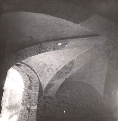 Januševec - Dvorac Januševec, podrum