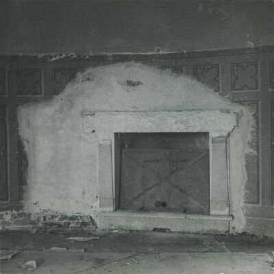 Trakošćan - dvorac, lovačka dvorana, kamin