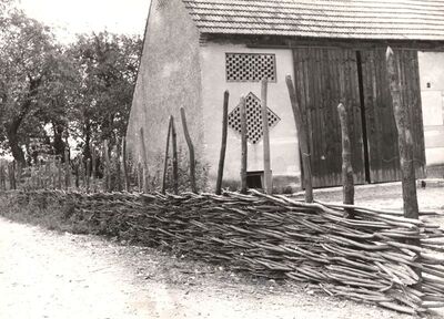 Sasi - Ograda od pruća