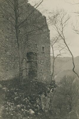 Grtovec (Budinščina) - Stari grad Milengrad, vanjština, detalj