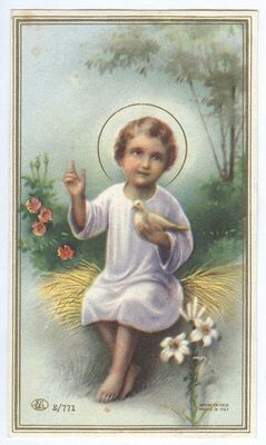 Dijete Isus s golubom u ruci