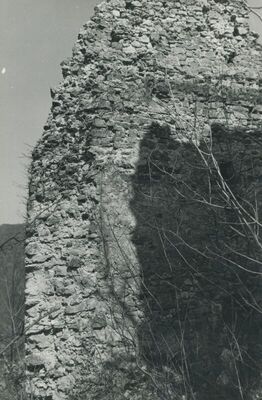 Vojnovec Loborski (Lobor) - Burg, ruševina