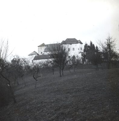 Slavetić - Dvorac Oršić, total