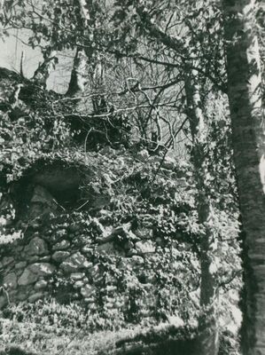 Zelingrad - Stari grad Zelingrad, jugoistočna polukula