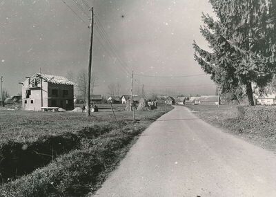 Zaluka Lipnička (Žakanje) - Cesta