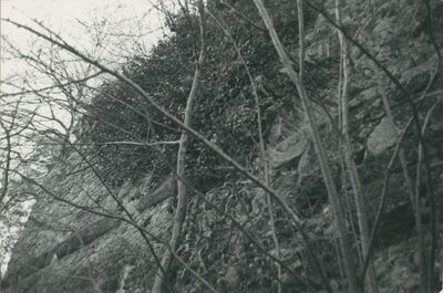 Vinica Breg (Vinica) - ruševine srednjovjekovnog grada