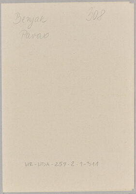 Benjak, Pavao. Policijski karton