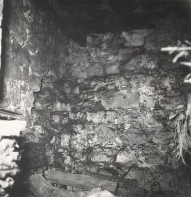 Ribnik - Stari grad, detalj