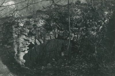 Vinica Breg (Vinica) - ruševine srednjovjekovnog grada