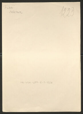 Finzi, Salamon, 17.11.1918. Policijski karton