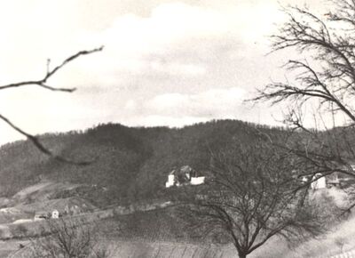 Slavetić - Dvorac Oršić, veduta