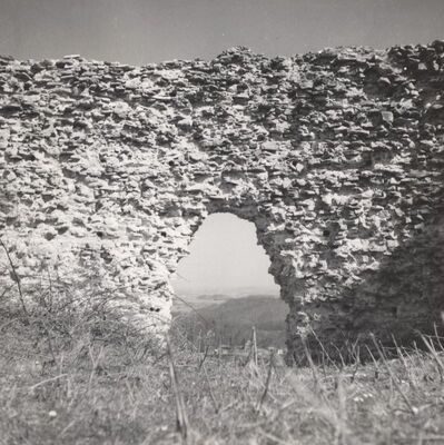 Podcetin (Cetingrad) - Stari grad Cetin, pogled iz unutrašnjosti