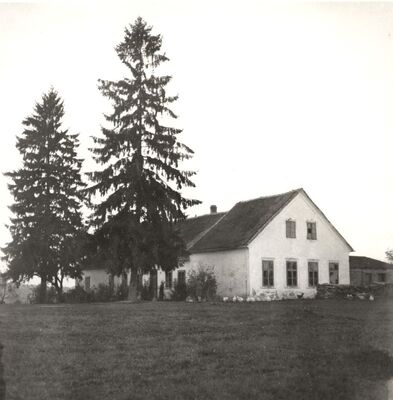 Novo Mjesto - Kurija, total