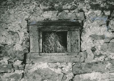 Tomašnica (Ozalj) - Gospodarska zgrada, prozor