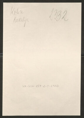 Kohn, Rozalija, 1873. Policijski karton