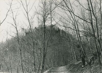 Bela (Novi Marof) - Pusta Bela