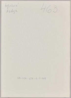 Bogičević, Andrija, 1878. Policijski karton