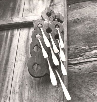 Gustelnica - Žličnjak