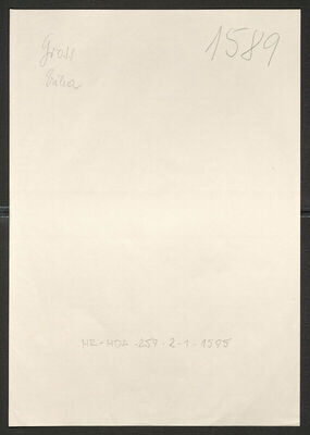 Gross, Erika, 15.11.1928. Policijski karton