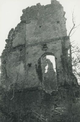 Vojnovec Loborski (Lobor) - Burg, ruševina