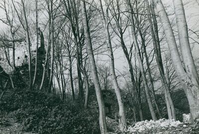 Zelingrad - Stari grad Zelingrad, kule unutar gradskog dvorišta