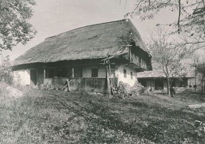 Jarnevići (Ribnik) - Tradicijska drvena kuća, uže i dulje pročelje