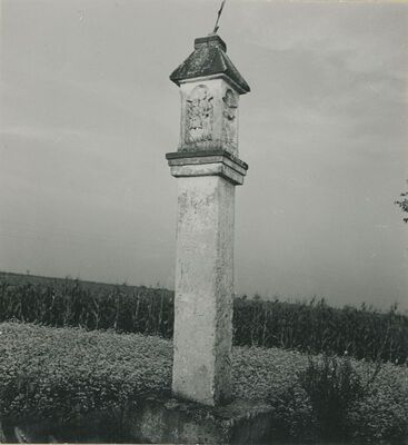 Varaždinsko Polje - Beli pil