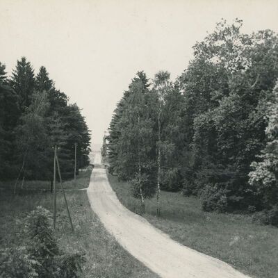 Križovljan Radovečki - prilaz dvorcu