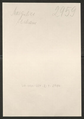 Margulies, Abraham, 13.7.1888. Policijski karton