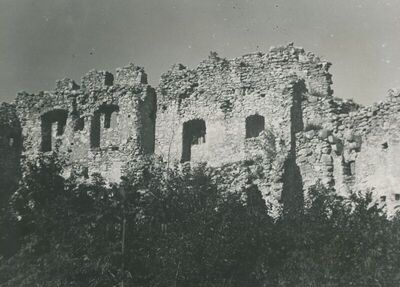 Grtovec (Budinščina) - Stari grad Milengrad, istočno pročelje