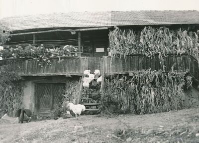 Hodinci (Ozalj) - Tradicijska kuća, ulazno pročelje