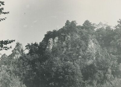 Grtovec (Budinščina) - Srednjovjekovni grad Milengrad, total