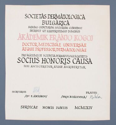 Socius honoris causa