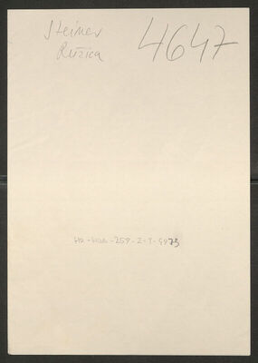 Steiner, Ružica, 10.8.1920. Policijski karton