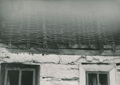 Tomašnica (Ozalj) - Tradicijska kuća, zabat