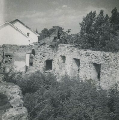 Dvorac Oroslavje Gornje (Oroslavje), detalj ruševine