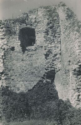 Klokoč (Vojnić) - Stari grad Celjskih, detalj