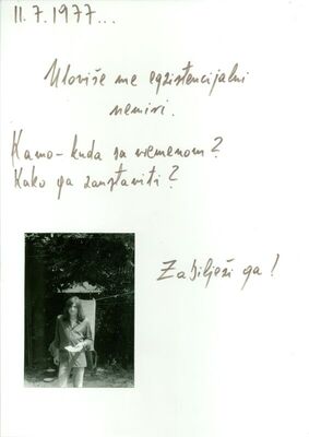 Moja godina 1.1.1977.-31.12.1977.