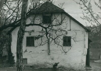 Ferljur - Kurija, zapadno pročelje