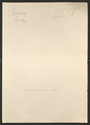 Pazman, Mirko, 10.6.1907. Policijski karton