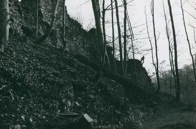 Zelingrad - Stari grad Zelingrad, južni zidovi stambene kule