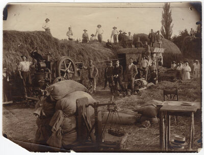 Vršidba parnim strojem